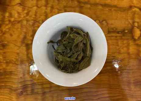 冰岛茶哪个牌子好喝？性价比高的推荐