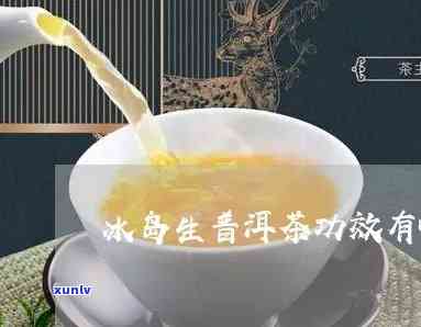 冰岛生茶薄片50克-冰岛生茶功效