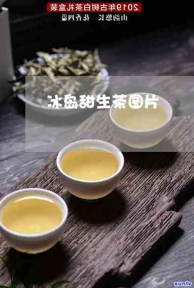 冰岛生茶薄片50克-冰岛生茶功效