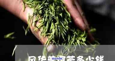 紫金风华茶叶多少钱一斤，紫金风华茶叶价格一览，每斤售价多少？