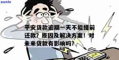 平安金所不想还了，平安金所：借款人考虑不还款