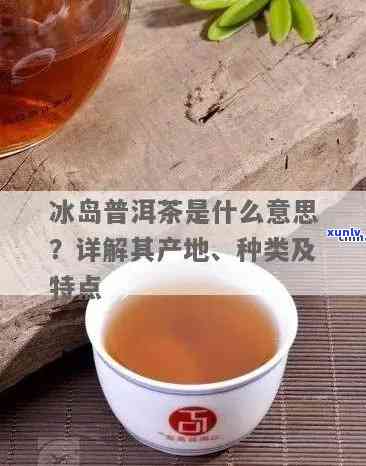 冰岛茶的种类及其特点：详细介绍不同品种的区别与特性