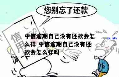 中信逾期了不想还利息-中信逾期了不想还利息怎么办