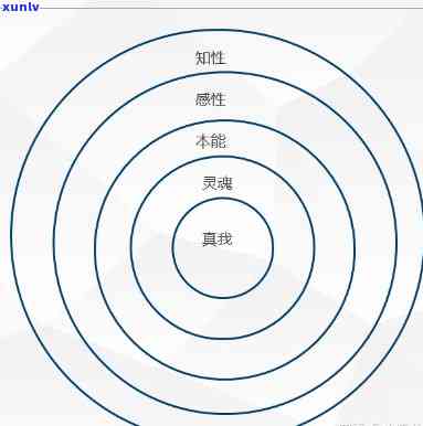 本元元素：从本原到本质的区别与联系