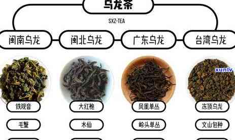 东方之美茶叶：红茶还是绿茶？种类、价格及含义全解析