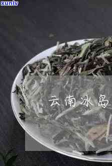 云南冰岛茶哪个好，推荐：云南冰岛茶哪家？