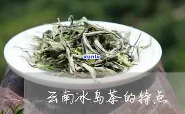 云南冰岛茶哪个好，推荐：云南冰岛茶哪家？