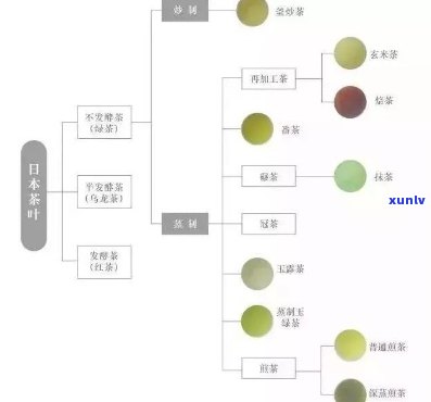 茶叶：品种、、出口及包装全揭秘