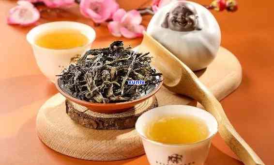 大壶茶用什么茶叶泡好，探讨：大壶茶最适合用哪种茶叶泡制？