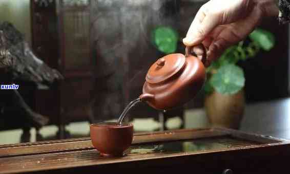 大茶壶泡什么茶好，大茶壶适合冲泡哪些茶叶？