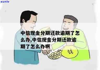 中信现金分期逾期2天-中信现金分期逾期2天会怎样