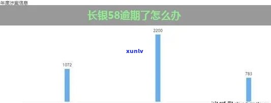 长银58逾期一天咋办-长银58逾期怎么办
