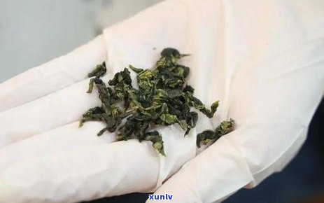 茶叶的价格区间，探索茶叶的世界：价格区间全面解析