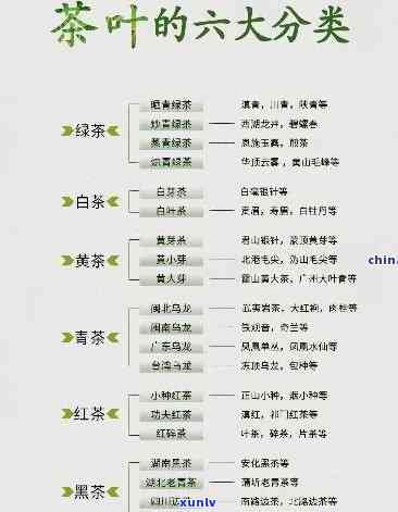 茶叶档次划分，解密茶叶世界：从入门到进阶的档次划分全解析