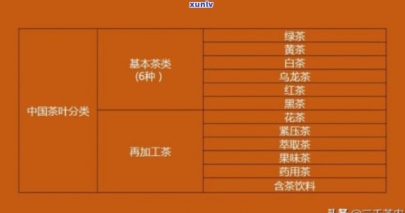 茶叶档次划分，解密茶叶世界：从入门到进阶的档次划分全解析