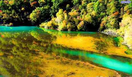 阿坝州翡翠原石-阿坝州翡翠原石价格