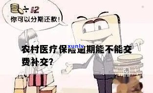 农村医保逾期怎么缴费？超时能否补缴？未及时交如何处理？