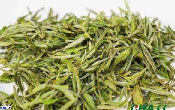 仙毫茶叶价格保质期多久，仙毫茶叶：价格与保质期的关系解析