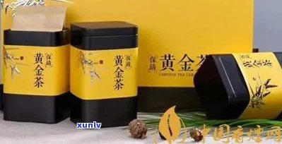 黄金条茶叶价格多少钱一斤，黄金条茶叶市场价格查询：每斤多少钱？