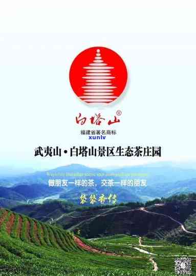 白塔山茶叶价格多少钱，探究白塔山茶叶的市场价格，一探究竟！