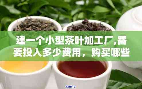 茶叶代加工价格多少钱，揭秘茶叶代加工价格：你需要知道的一切！