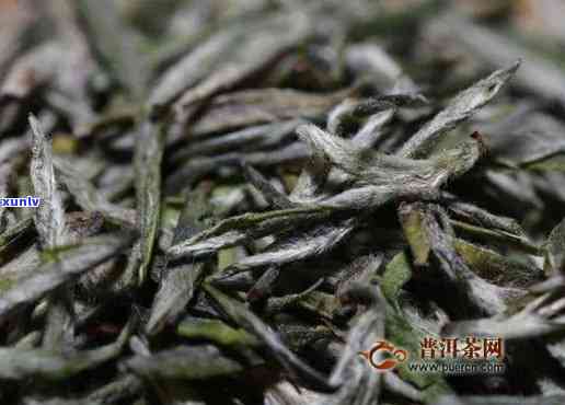 阳羡雪芽茶是什么茶种？多少钱一斤？功效与作用如何？看茶叶价格及包装图，了解阳羡雪芽的更多信息！