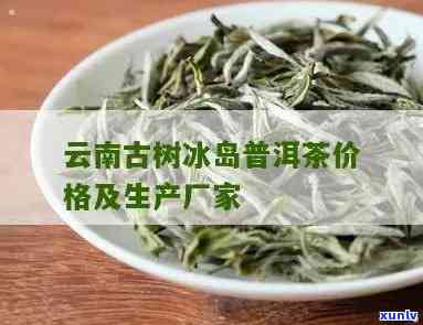 云南滇南古韵茶业冰岛藏：普洱、红茶价格一览