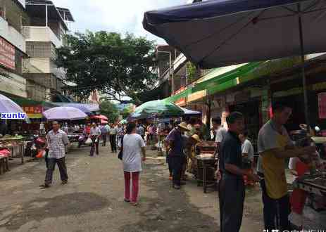 州什么茶叶最出名？探究州本地知名与特色名茶