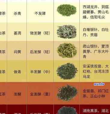 州最出名的茶叶：品种、店铺与一览