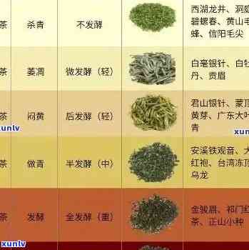 茶叶价格高低与功效的关系，探讨茶叶价格与功效之间的关系