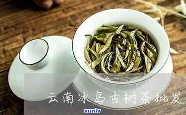 昆明冰岛古树茶订购-昆明冰岛古树茶订购 *** 