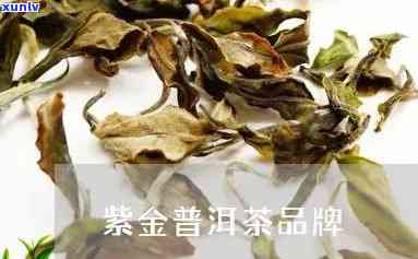 紫金什么茶叶最出名好喝，紫金名茶推荐：哪种喝？