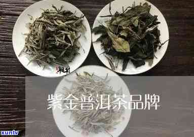 紫金茶叶品种，探索紫金茶叶品种：品味独特的中国茶文化