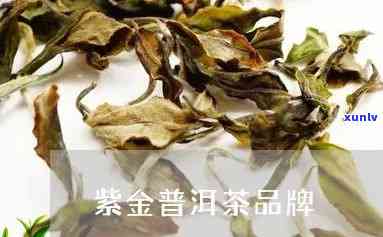 紫金茶叶品种，探索紫金茶叶品种：品味独特的中国茶文化