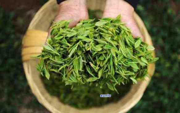 千岛湖新茶价格，最新！千岛湖新茶市场价格一览