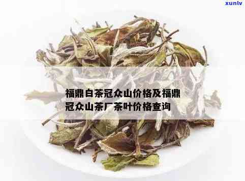 古树普洱茶的全面功效与泡法解析：如何品尝与品鉴这种名贵茶叶