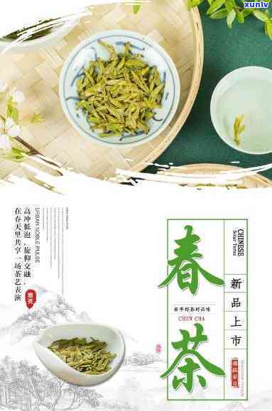 一壶春茶叶价格查询-一壶春茶业