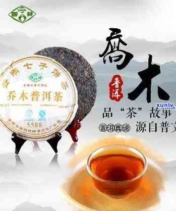 善木青茶叶价格查询-善木青茶叶价格查询表