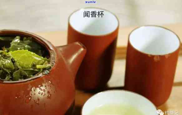 一壶茶与一杯茶的差异：区别、容量、茶具名称全解析