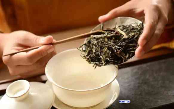 味之源茶叶是名茶吗，探究名茶之谜：味之源茶叶是否实至名归？