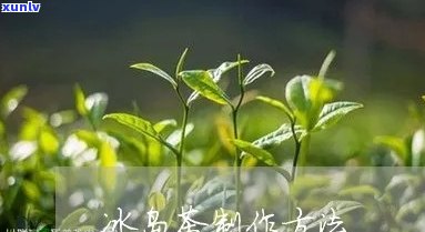 冰岛茶是如何 *** 的-冰岛茶是如何 *** 的呢