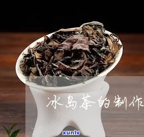 冰岛茶 *** 工艺视频教程，在家轻松学！冰岛茶 *** 工艺详细视频教程