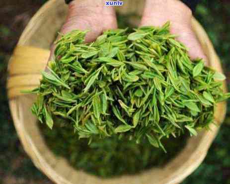 重庆什么茶叶最出名又好喝？花茶品种推荐！