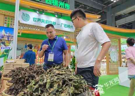 重庆好喝的茶叶，探索重庆：品味那些令人垂涎的好喝茶叶