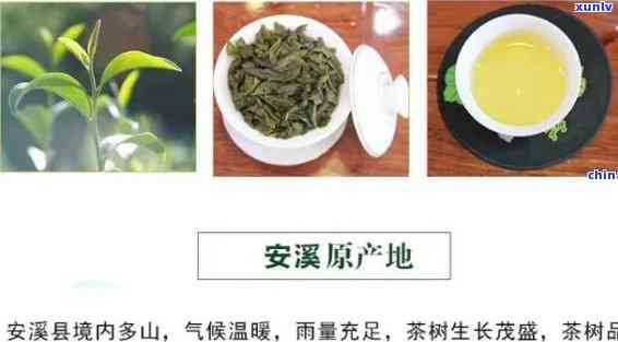 安溪什么茶叶最出名-安溪什么茶叶最出名的