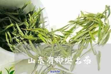 山东什么茶叶最出名？探究山东茗茶之冠！