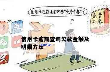 信用卡如何查看逾期天数明细：操作步骤与查询 *** 全攻略