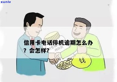 信用卡逾期手机停机了？别急！解决 *** 在此！