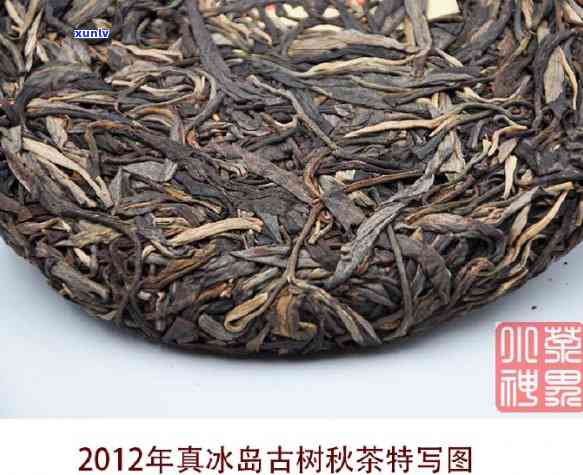 冰岛春茶和秋茶的区别，探秘冰岛春茶与秋茶的异同，品味节带来的口感变化