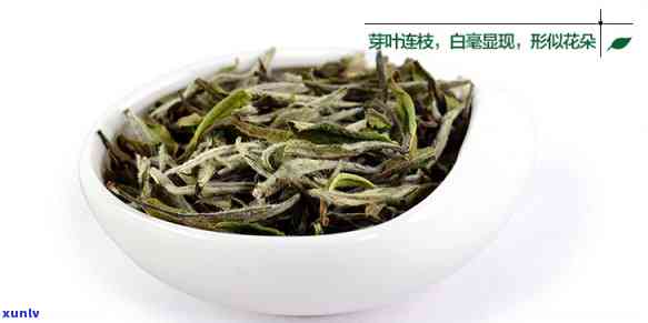 江有什么茶叶有名的？盘点江茶叶名产地与品种